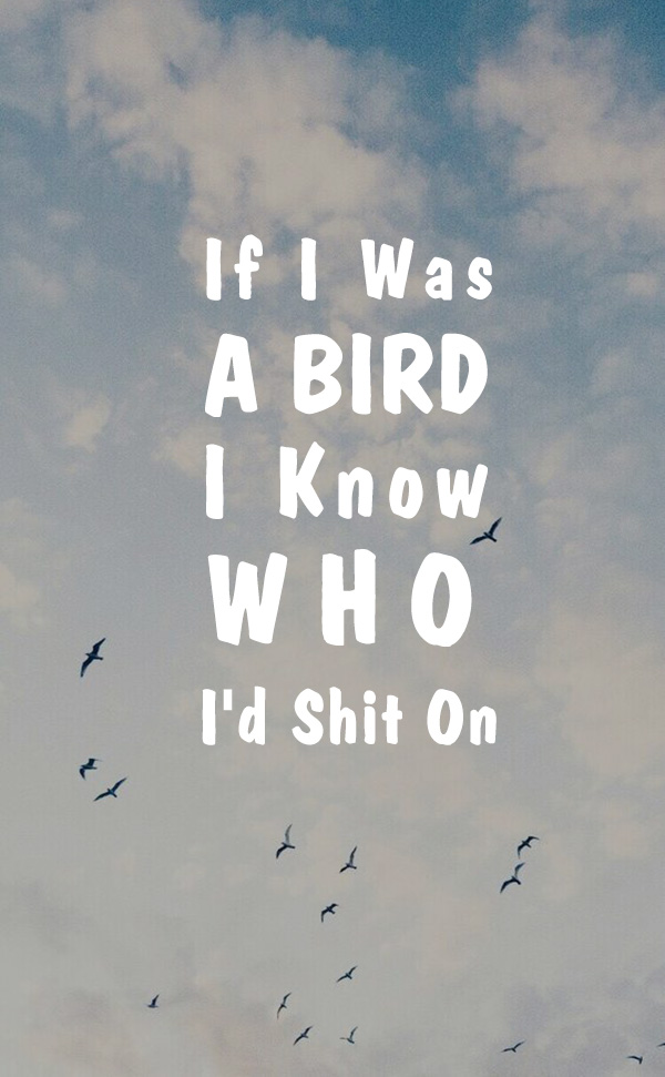 If I Was A Bird, I Know Who I’d Shit On