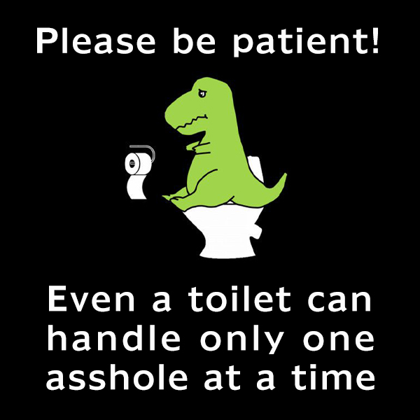 Please be patient! Even a toilet can handle only one asshole at a time