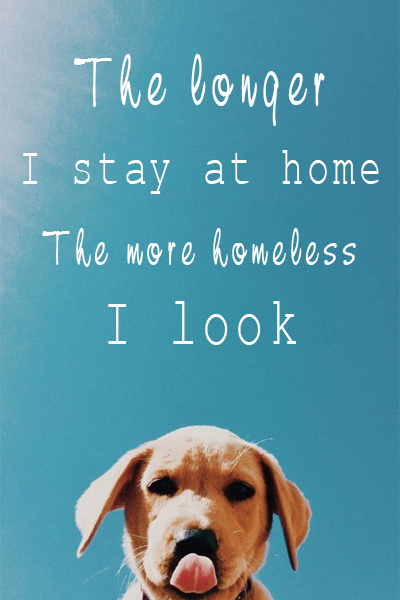 The longer I stay at home, the more homeless I look