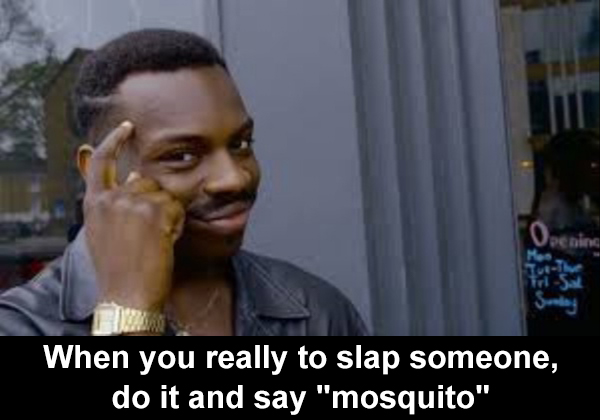 When you really to slap someone do it and say mosquito
