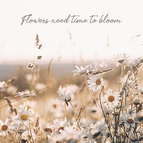 flowers need time to bloom
