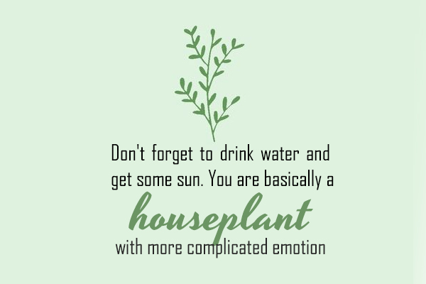 Don’t forget to drink water and get some sun. You are basically a houseplant with more complicated emotion