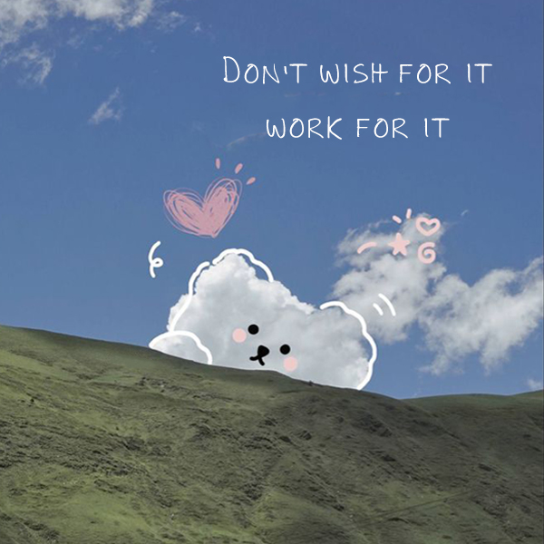 Don't wish for it, work for it kkk