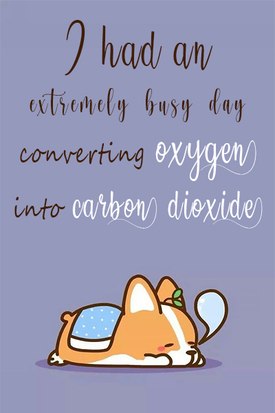 I had an extremely busy day, converting oxygen into carbon dioxide