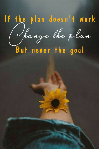 If the plan doesn’t work, change the plan, but never the goal