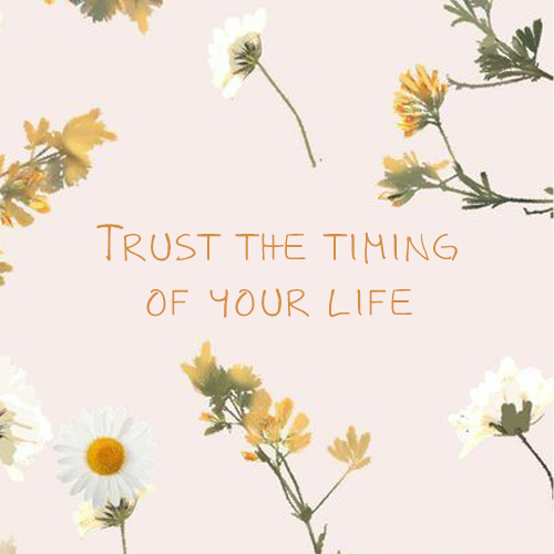 Trust The Timing Of Your Life