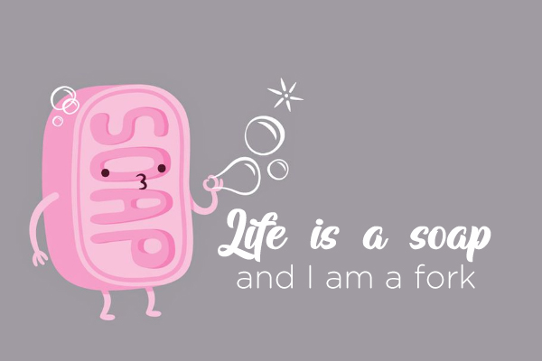 Life is a soap and I am a fork