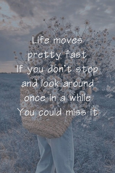 Life moves pretty fast, If you don’t stop and look around once in a while, you could miss it