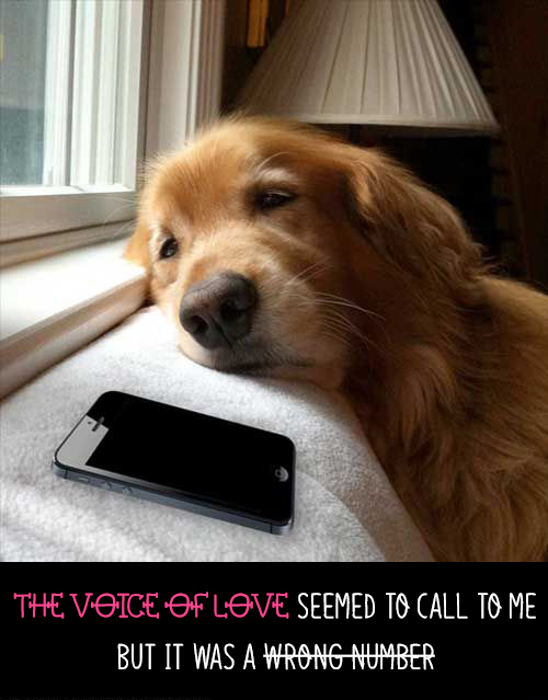 The voice of Love seemed to call to me, but it was a wrong number