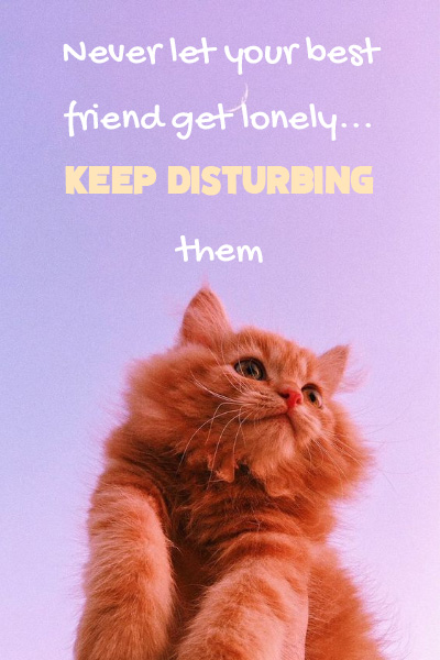 Never let your best friend get lonely…keep disturbing them