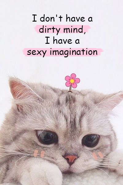 I don’t have a dirty mind, I have a sexy imagination